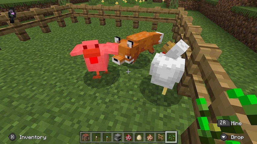 What Attacks Chickens in Minecraft
