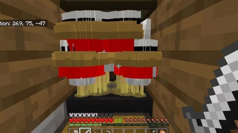 What is Minecraft Entity Cramming?