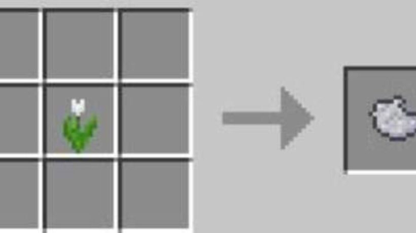 What Flower Gives Grey Dye  in Minecraft?